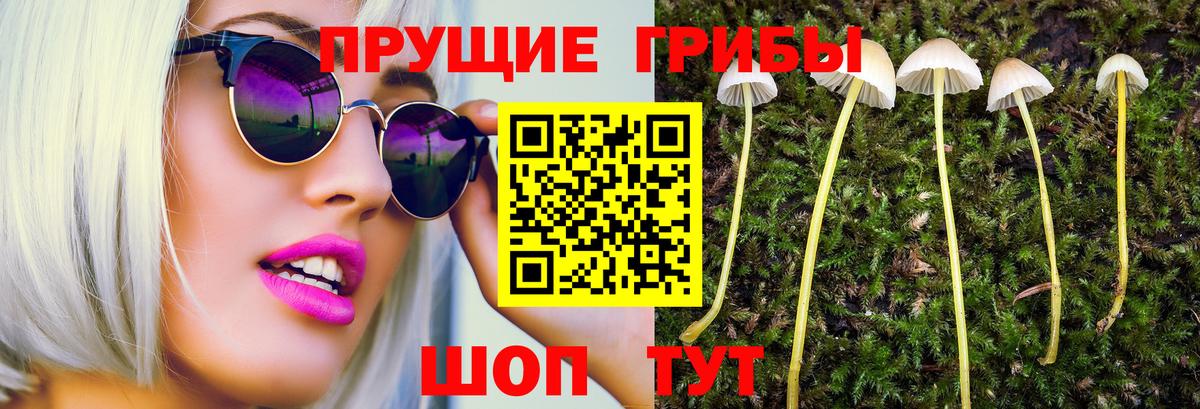 Чапаевск  Галлюциногенные грибы мицелий  Вход с VPN 