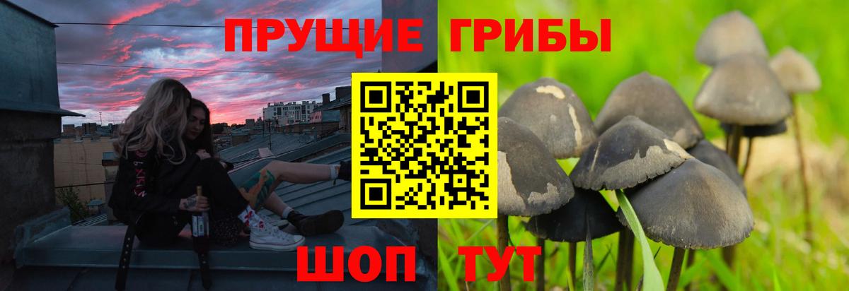 Галлюциногенные грибы прущие грибы Чапаевск